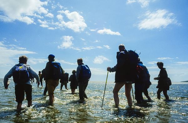 Enjoy the thrills and spills of a Cross Bay Walk this summer